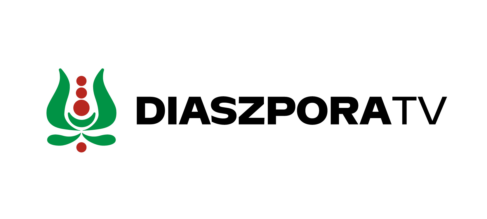 Diaszpóra TV